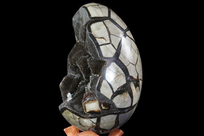Septarian Dragon Egg Geode - Black Crystals #70963